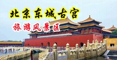 日韩羞羞视频中国北京-东城古宫旅游风景区